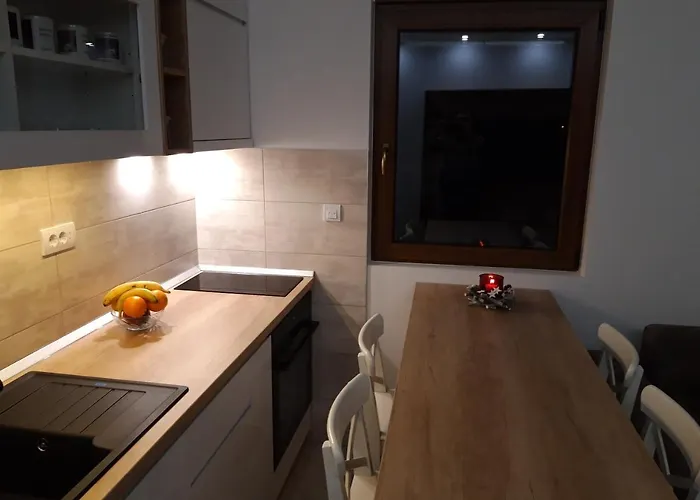 Dmitrov * ズラティボール