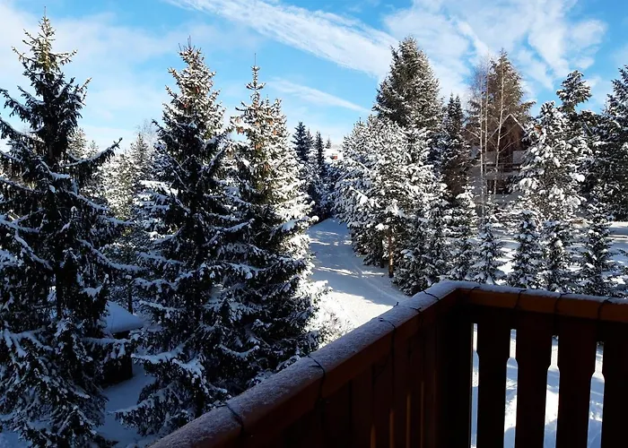 アパート Dmitrov ズラティボール