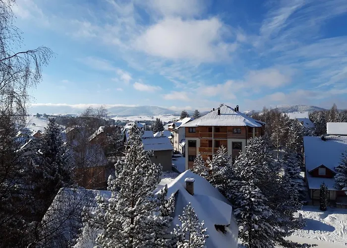 Dmitrov * ズラティボール