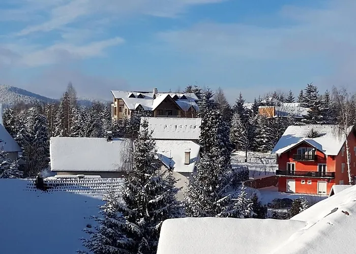 Dmitrov ズラティボール