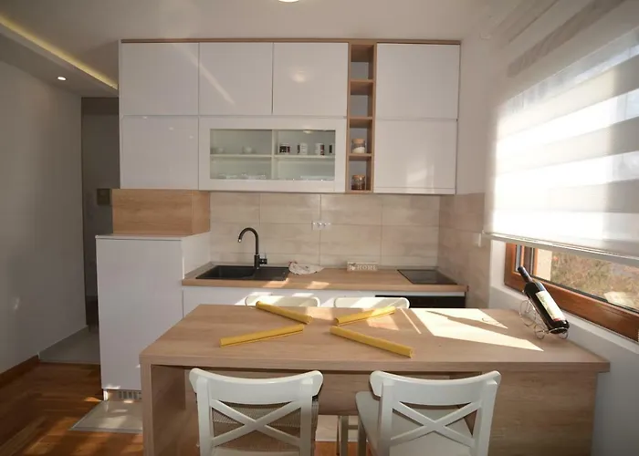 Dmitrov * ズラティボール