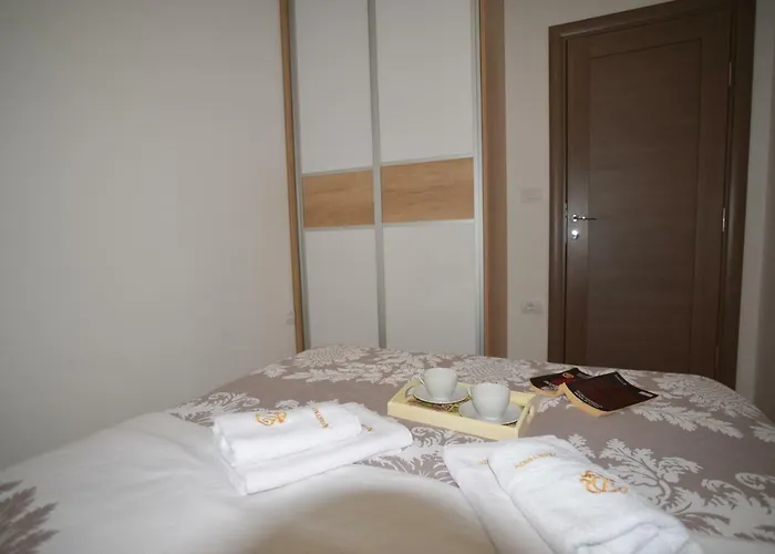 Dmitrov ズラティボール