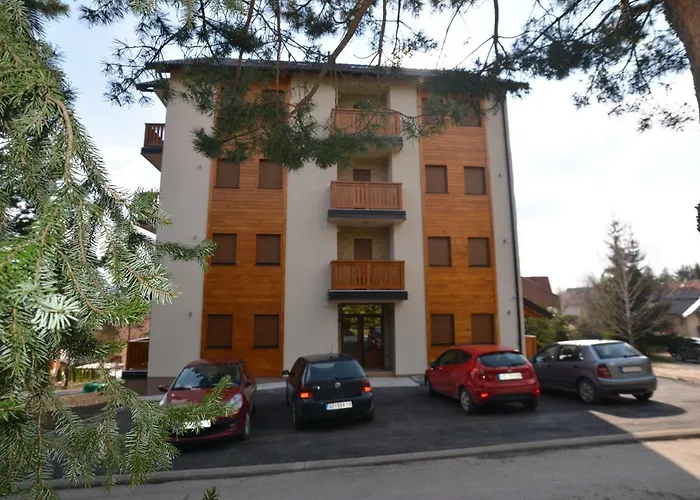 Dmitrov ズラティボール