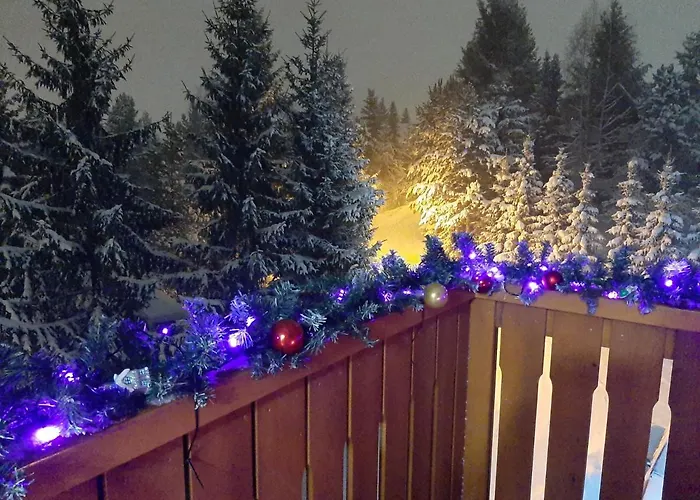 Dmitrov * ズラティボール